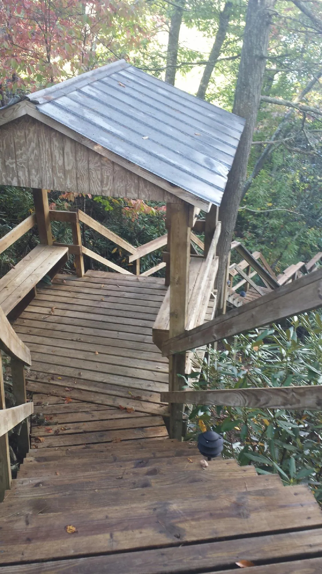 Metal roofed shelter over wooden steps on a wooded walkway — Skylight Repair & Installation work by our crew in Wilkinson