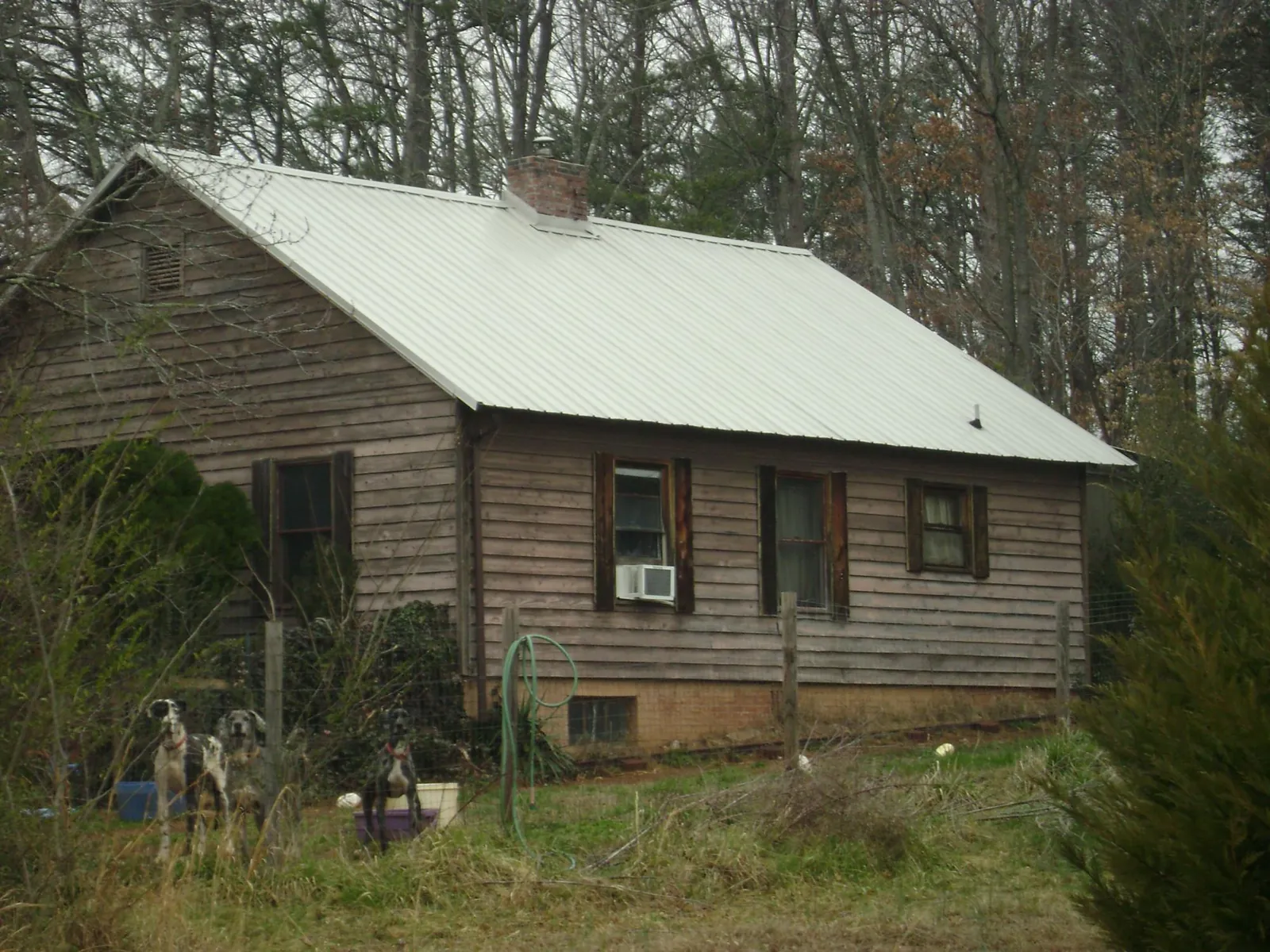 White metal roof on an old wood sided farmhouse, from a Asphalt Shingle Roof Repair job in Wilkinson